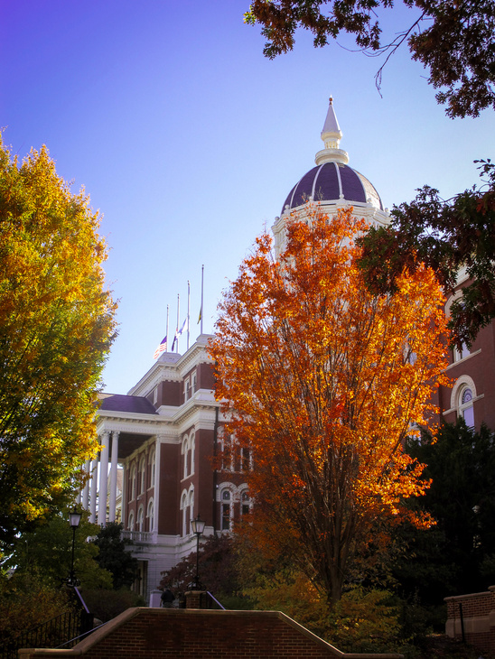 Mizzou columns in autumn